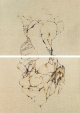 Granazón . 43 x 29 cm (x2). Bolígrafo y lápiz de color sobre papel